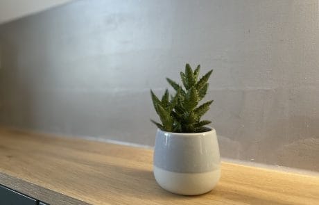 Kalkspachtelung, Kalk-Marmor-Putz Oberkrämer